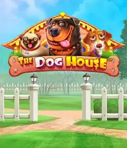 Experience Pragmatic Play's The Dog House, featuring an adorable journey through lovable dogs. Engage in features including multipliers, designed for providing entertaining gameplay. Perfect for those who enjoy an amusing atmosphere alongside lucrative rewards.